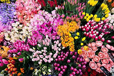 英伟达泄露大批游戏发售日 《上古卷轴6》2024年发售