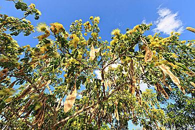 《地狱潜者2》新截图 合作和战斗玩法首批细节